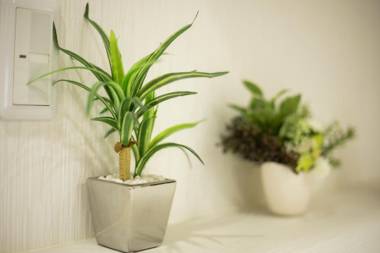 寅ホテル 台東 Hotel 寅 台东 Tora Hotel Taito C