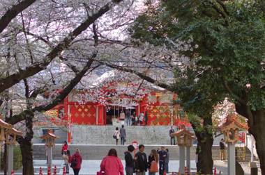 Sakura Cross Hotel Shinjuku East Annex