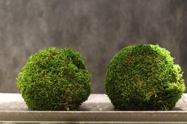 KOKO HOTEL Tsukiji Ginza