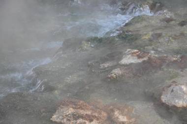 ARtINn 極寒藝術伝染装置