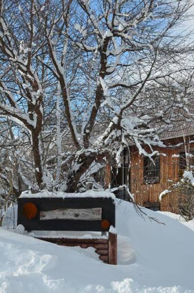 ARtINn 極寒藝術伝染装置