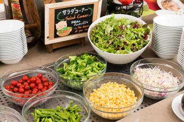 ANA Holiday Inn Sapporo Susukino an IHG Hotel