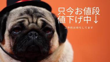 地下鉄すすきの駅 市電狸小路から徒歩約10分 Shimaya Building 島屋ビル 302