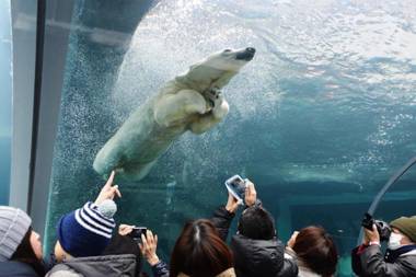 KIYAZA Station Sapporo - 203