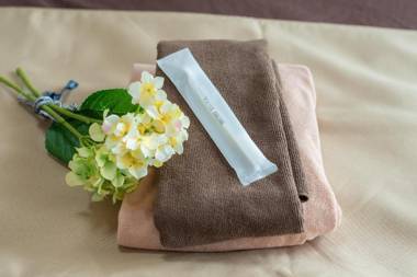 期間限定 "二千円クーポン一泊" "最大五連泊で一万円分" サッポロ割 EZO Run Sapporo