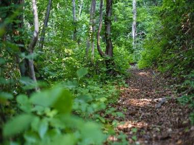 Otaru Asarigawa Onsen Hotel Musashitei