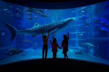 Hotel Sunplaza 2 Annex