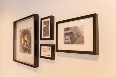 Guest House GORILLA!