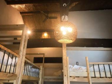 Mad Cat Hostel Osaka & Bar