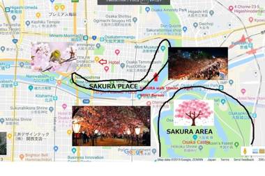 NM41 Liz Osaka Castle