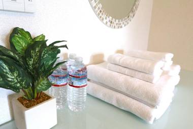 NM61 Liz Osaka Castle