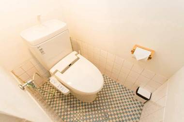 Taisho Terrace House