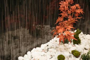 Yuyuシリーズ セルフホテル