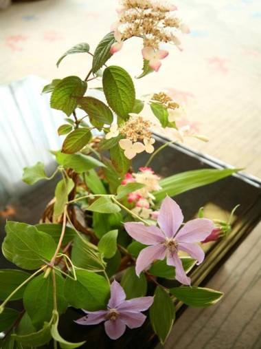 Yasashisanoyado Chikutei