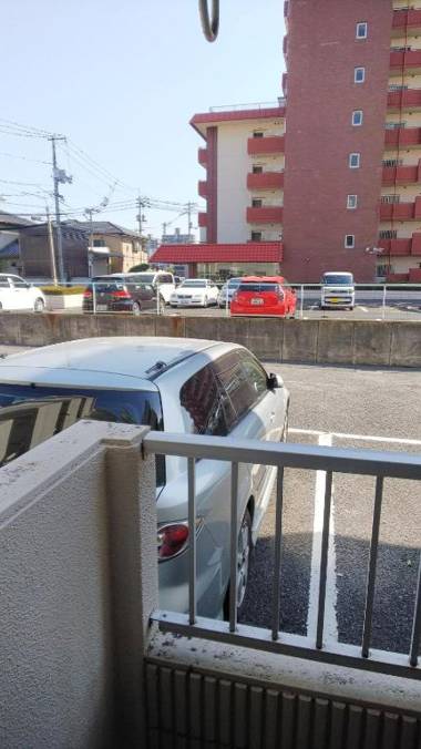 Cherry Blossom Koseicho