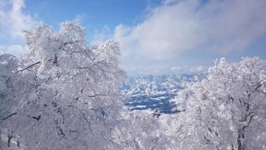 Nozawa Dream Central