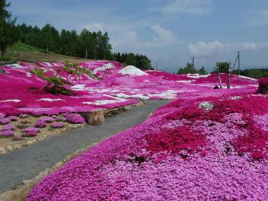 Niseko Izumikyo Cottage