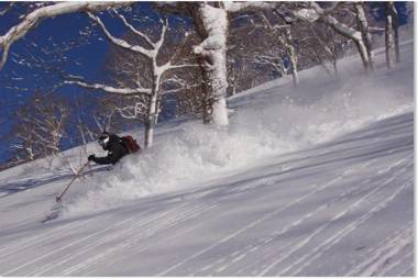 Hirafu Powder Cottage