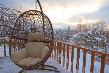 LAKE TOYA PREMIUM CABIN