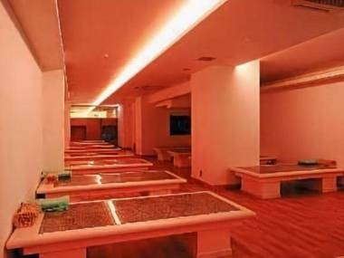 Hotel Diasmont Niigatanishi