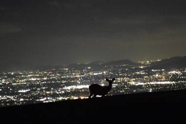 Guesthouse Naramachi