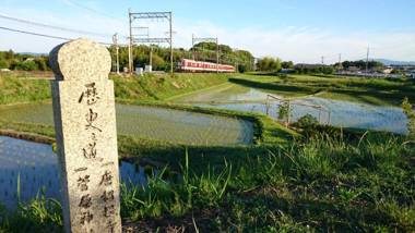 Business Hotel Century