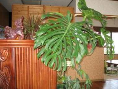 Seaside Villa Urumanchu