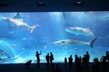 もとぶいこいの宿 やまちゃん