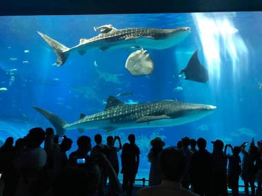 Hostel Mosura no Tamago