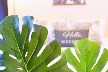 カモミール西町 203