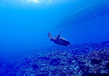 Rakuten STAY Naha Tomari Pier