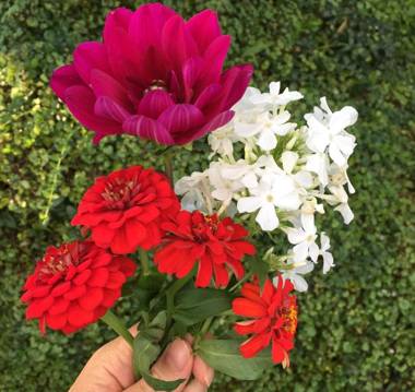 Tomy's Log House in the Wood - Need Own CAR 需要自驾游