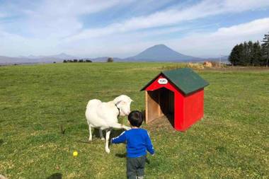Manyi’s Onsen House