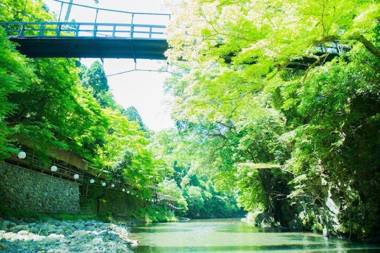 Sun Members Kyoto Saga