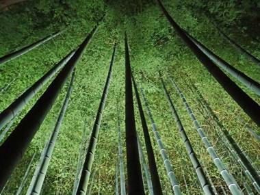 Kyoto Inn Higashiyama