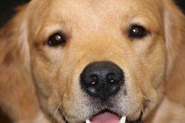 Kyoto Ryokan Gion Sano