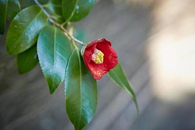 HOTEL MYTH-CLUB -ホテル マイス クラブ- Adult Only