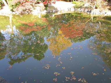 Guesthouse Kyoto Abiya