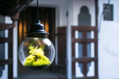 Ryokan Mugen (Adult Only)