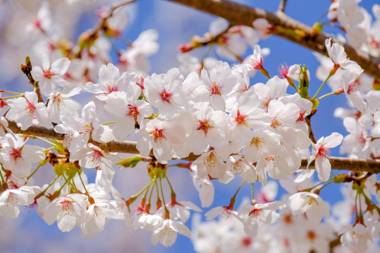 Via Inn Kyotoeki Hachijoguchi