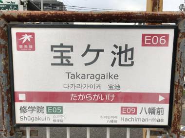 Benidaruma - Sakuramochi