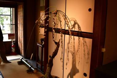 Cozy house 31 free E- bike & free portable wifi