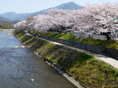 Free bike and free WIFI 204 Take it easy