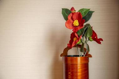 Kizuna House near Nijo Castle