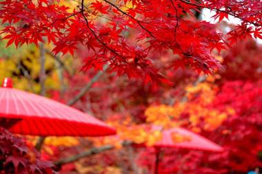 Comfort Hotel Kyoto Horikawagojo