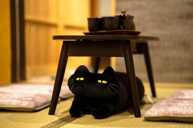 INN Plus Toji Fushin