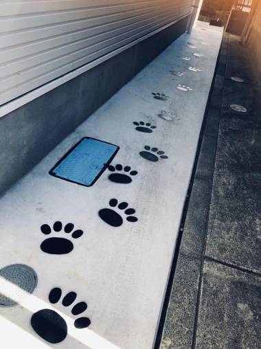 Ano House Guesthouse(Female Only)