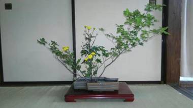 guest house 鎌倉記憶