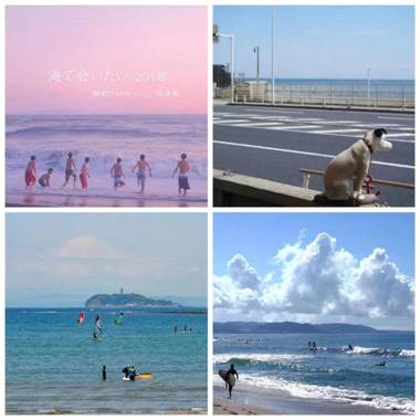 guest house 鎌倉記憶