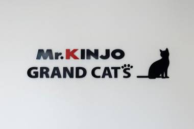 Mr KINJO GRAND CATS